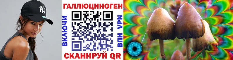 наркотики  нарко площадка Telegram  Псилоцибиновые грибы мицелий  Полесск  KRAKEN ТОР 